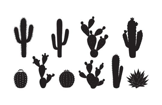Spiky Cactus Art Icons Silhouette Compilation vector
