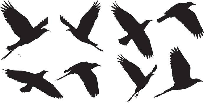Set of black silhouettes of doves in flight. vector