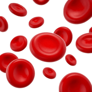 Close-up of red blood cells isolated on a transparent background png