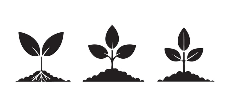 Growing Plant Illustrations Three Seedling with Different Leaf Shapes vector