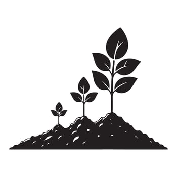 Plant Growth Stages Silhouette Illustration for Biology Education vector
