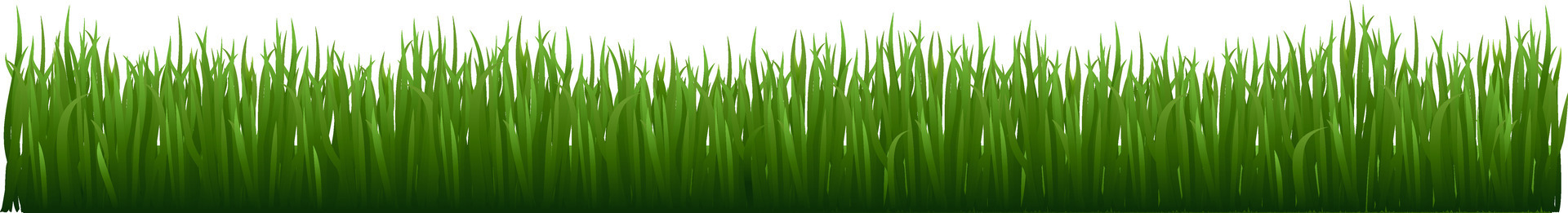 Lush green garden herb plants creating a vibrant landscape, enhancing fresh lawn elements and showcasing beautiful meadow foliage against a clean white background vector