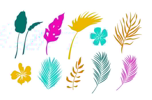 Set of tropical leaves in flat style isolated on white background. illustration vector