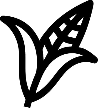 Rustic Corn Stalk Chalk Illustration vector