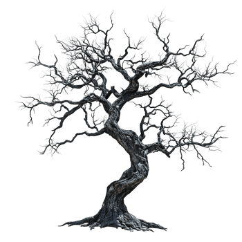 A twisted bare tree stands with many intricately branching limbs png