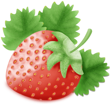 strawberry drawing watercolor png