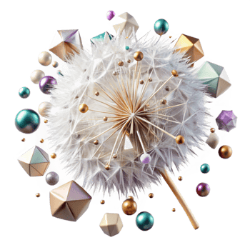 impressive rustic Close Up of Dandelion Seed Head Cutout Transparent Background high resolution png