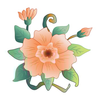 Floral Decorative Sign and Illustration vector