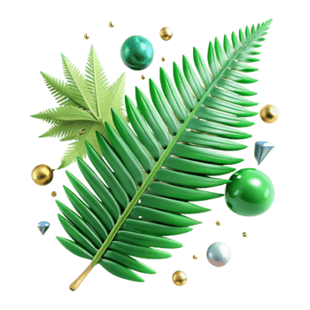 magnificent rustic Green Fern Frond Detailed Texture Cutout high resolution png