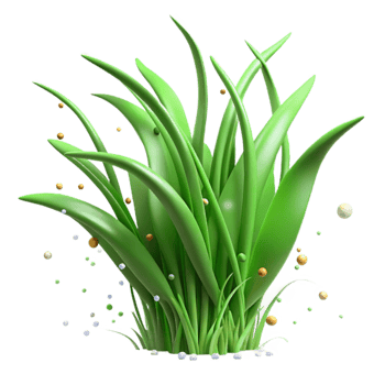 stunning classic Green Grass Blades Swaying in Wind Isolated high resolution png