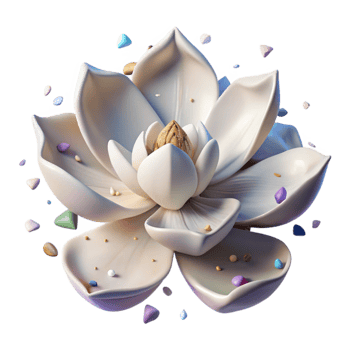 serene minimalist Magnolia Blossom White Petals Cutout Image genuine png