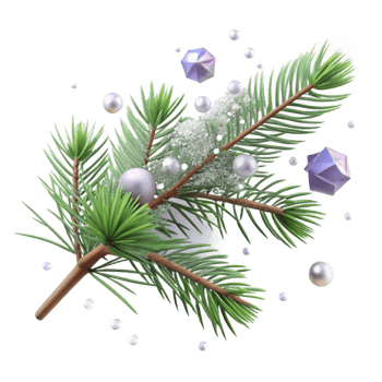 magnificent rustic Pine Branch with Needles Snow Covered Isolated exclusive png