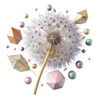beautiful minimalist Single Dandelion Seed Head Cutout high resolution png