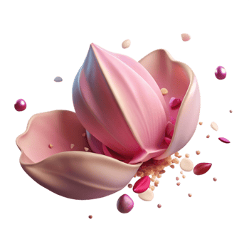 wonderful modern Single Fallen Petal with Pink Hues Cutout detailed png