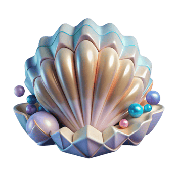 impressive minimalist Single Seashell Front View Cutout high resolution png