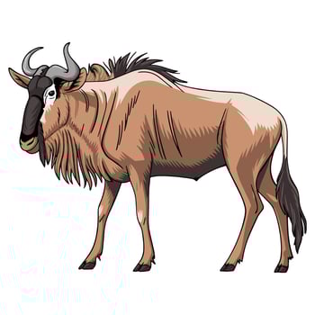 Wildebeest illustration, cartoon character in flat style. Wildebeest design, isolated on a white background. Ideal for wildlife concepts, educational purposes, and animal themed designs. vector