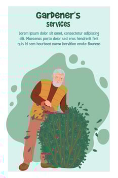 Elderly man trims a bush with scissors. Advertising banner template Gardeners services. vector
