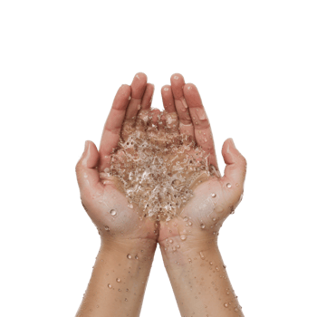 A Person Holding a Splash of Water Between Their Hands with a White Background png