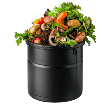 Fresh Vegetables and Leafy Greens in a Compost Bin on White Background for Sustainable Living png