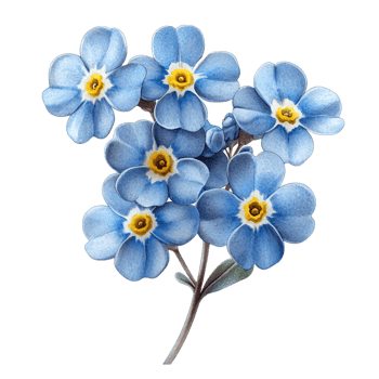 Beautiful blue flowers with delicate petals and vibrant yellow png