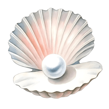 A close up of an oyster shell with a pearl inside against a transparent background in a digital painting png