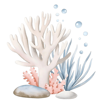 Illustration of white coral with pink coral blue seaweed and bubbles on a transparent background png