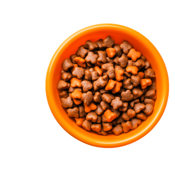 Colorful Dog Food in a Round Bowl Dark Background png