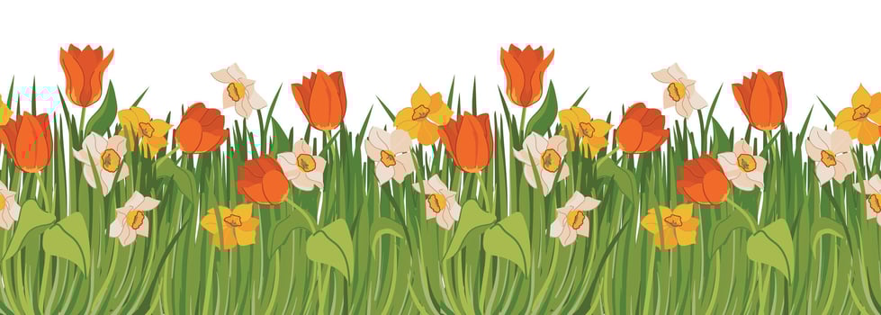 seamless pattern with spring flowers and green grass. Red tulips, yellow and white daffodils on the meadow. Banner with plants at the bottom and space for text. vector