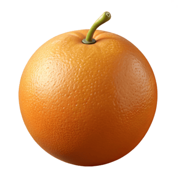 impressive abstract Single ripe orange authentic png