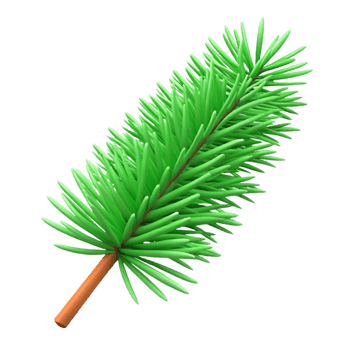 wonderful traditional Single green pine needle professional png