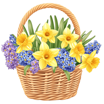 Beautiful Basket of Fresh Daffodils and Hyacinths Spring Floral Display png