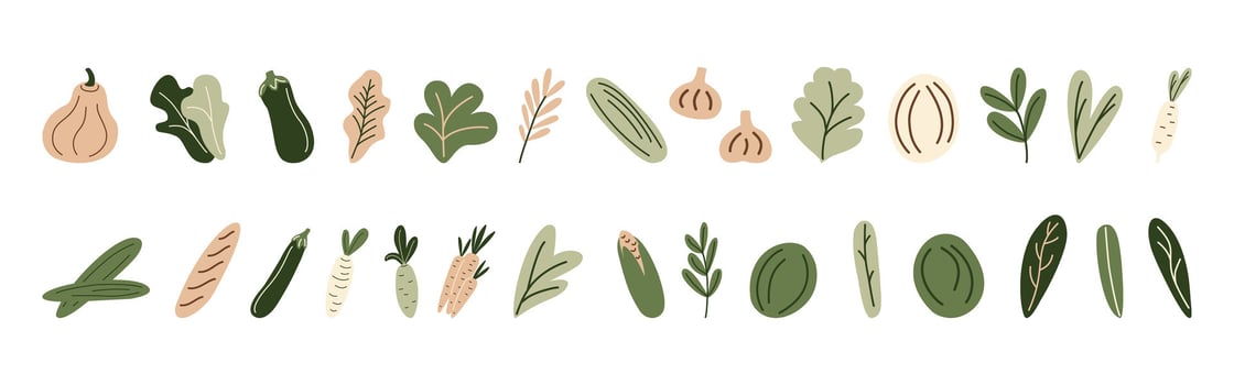 Fresh vegetables, organic greens, healthy food, farm market produce, eco-friendly vegan diet, natural plant-based nutrition, herbal leaves, culinary ingredients set. Hand-drawn illustration. vector