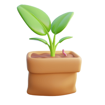 plant in a pot on a transparent background png