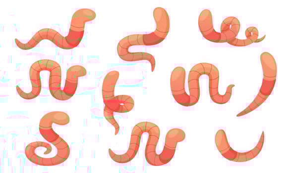 set of cartoon worms in different poses. Crawling pink earthworm. Garden worm of different shapes, different types of movement, twisted, wrapped, useful insect. vector