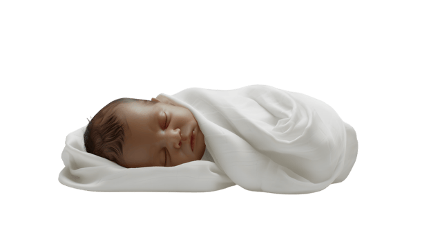 Newborn Baby Wrapped in White Blanket Sleeping Peacefully Infant Photography Adorable New Li png