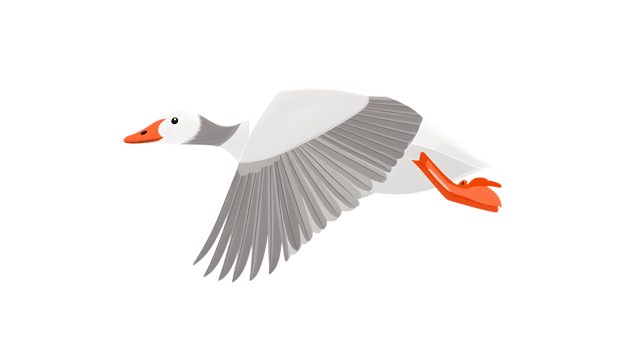 A bird in flight with vibrant orange beak and feet showcasing detailed wingspan against a blac png