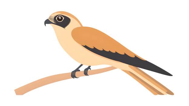 A perched bird with striking features showcasing vibrant colors and detailed plumage ideal fo png