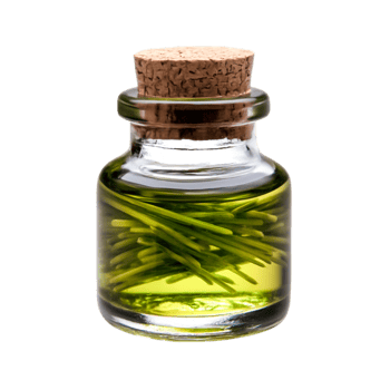 Glass bottle filled with herbal oil and aromatic plant leaves on png