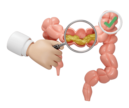 human colon cross section with waste in the intestine, doctor hand holding magnifying glas, check mark isolated. check colon health, constipation concept, 3d illustration render png