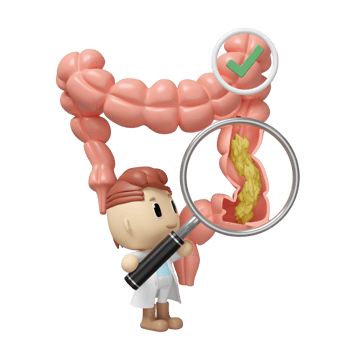 3d colon cross section with waste in the intestine, doctor hand holding magnifying glas, check mark isolated. check colon health, constipation concept, 3d illustration render png