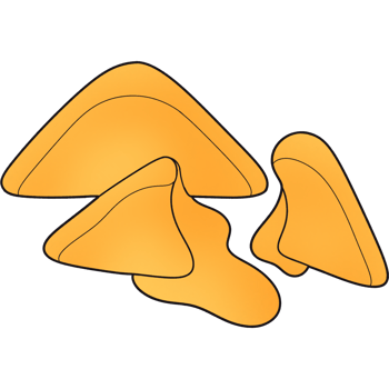 The illustration of a toast png