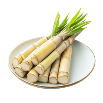 Bamboo shoots on a round plate highlight their natural beauty against a transparent background, Bamboo shoot in a plate isolated on transparent background png