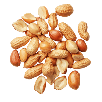 A group of peeled and unpeeled peanuts displayed on a clean transparent surface for culinary use or snack preparation, Group of peeled and unpeeled peanuts isolated on transparent background png