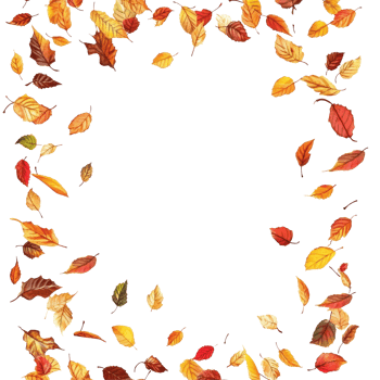 An autumn card featuring a vibrant frame of colorful fall leaves in various shades, Autumn card with a border or frame of colored falling leaves isolated transparent background png