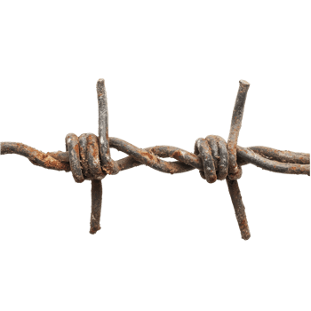 Isolated rusted barbed wire with sharp points against a clean transparent background conveying confinement and barriers, Isolated Barbed Wire on transparent background png