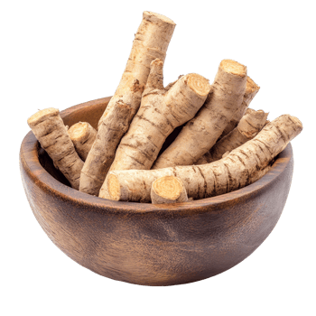 Krachai finger root herbs displayed in a wooden bowl on a clean surface, ready for culinary or medicinal use, finger root Krachai Thai herb in wood bowl isolated on transparent background png