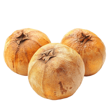 Santol fruit displayed on a transparent background showcasing its unique texture and shape, Santol fruit on transparent background png