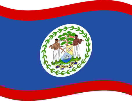 Belize waving flag illustrator of national icon vector