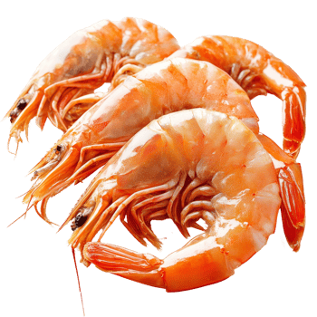 Freshly boiled shrimp arranged on a transparent background for a vibrant culinary display, Boiled shrimp isolated on transparent background png