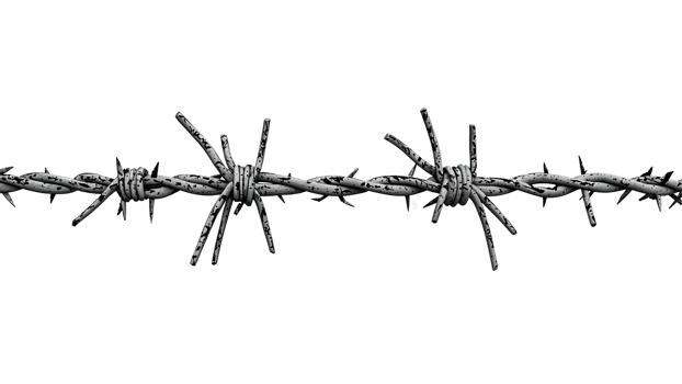 barbed wire on white background, sharp detail png